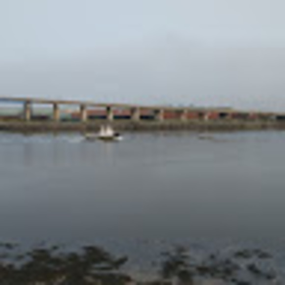 kevishaw0